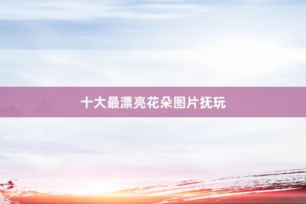 十大最漂亮花朵图片抚玩