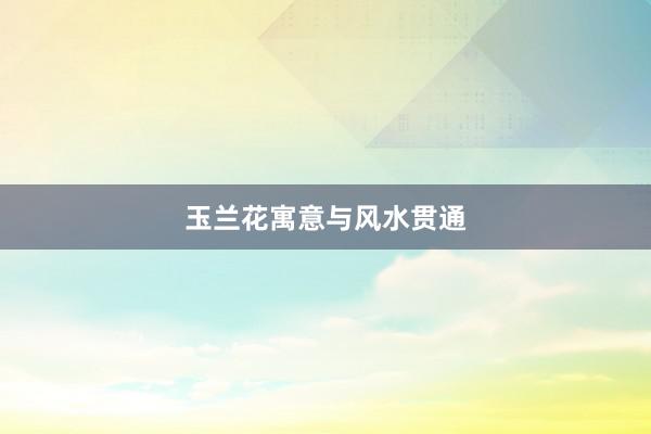 玉兰花寓意与风水贯通