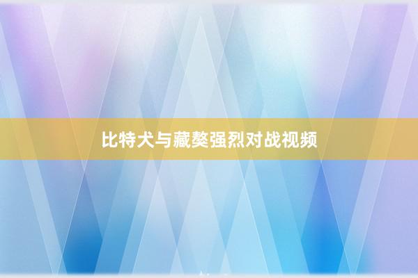 比特犬与藏獒强烈对战视频