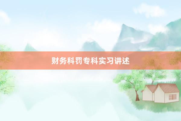 财务科罚专科实习讲述